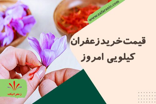 قیمت خرید زعفران کیلویی امروز در مشهد