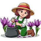 saffron farm gift 1 زعفرانیک